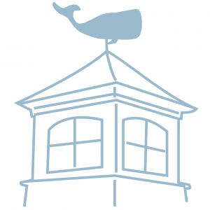 the saltwater cottage favicon